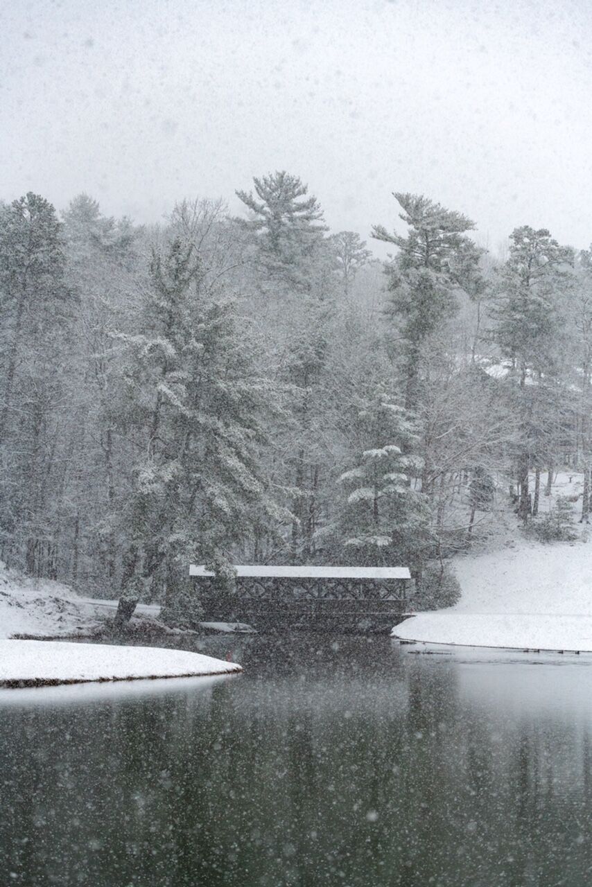 BC Snow